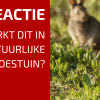 Het Principe van Actie en Reactie in de Natuurlijke Tuin