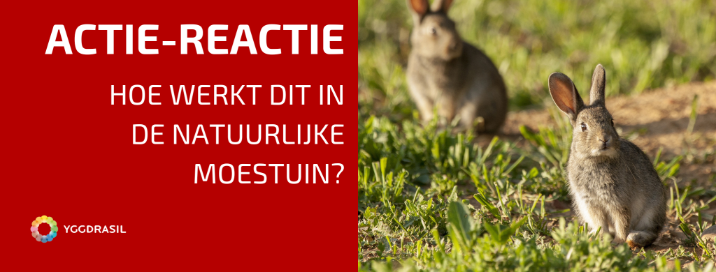 Het Principe van Actie en Reactie in de Natuurlijke Tuin