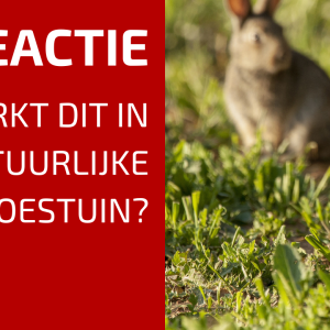 18. Het Principe van Actie en Reactie in de Natuurlijke Tuin