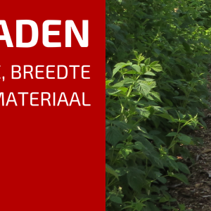 21. Paden in de Moestuin: Oriëntatie, Breedte en Dekmateriaal