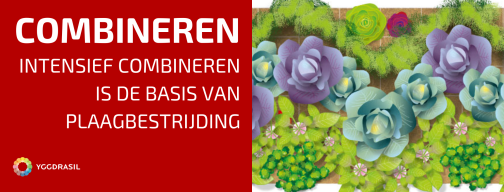 Blog Natuurlijke Moestuin - Yggdrasil