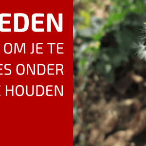 43. Enkele Tips Om Onkruid Onder Controle Te Houden