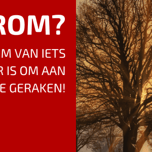 53. Eerst Het Waarom, Daarna Volgt Het Hoe!