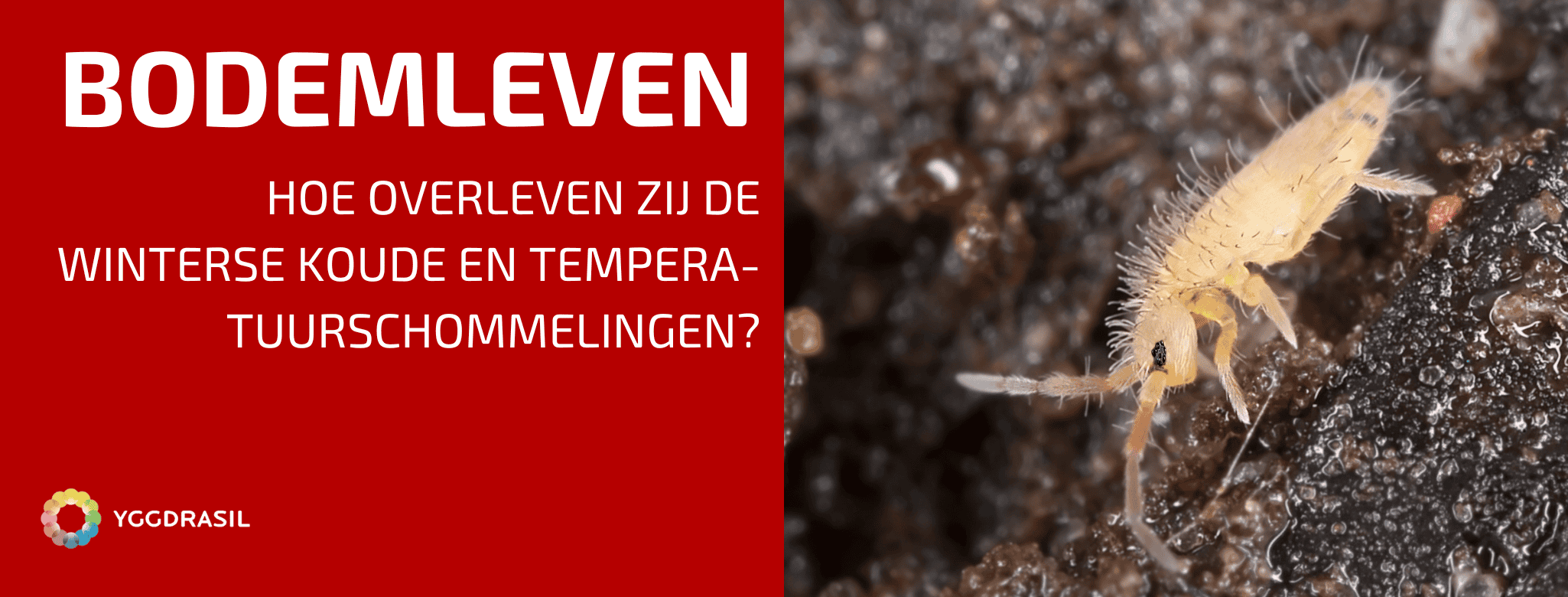 63. Een Experiment met Lava, Bentoniet en Planten episode artwork