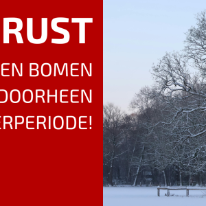 64. Winterrust of Actieve Voorbereiding op de Lente?