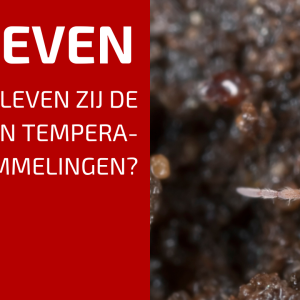 62. Overleven in de vrieskou: Wat gebeurt er onder de grond?