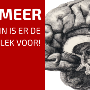 70. De moestuin als rustpunt