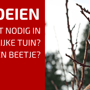 69. Wel Of Niet Snoeien Bij Fruitbomen?