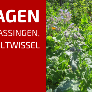 71. Over compost, lava, houtkanten, karton en teeltwissel