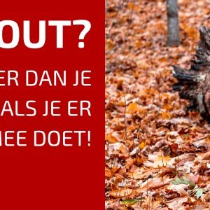 77. Hoe dood materiaal je tuin massaal tot leven wekt.