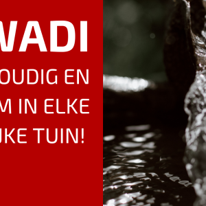 78. Stop met afvoeren: Waarom elke tuin een wadi nodig heeft.