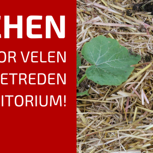 79. De kracht van mulchen: Waarom een blote moestuinbodem verleden tijd is!