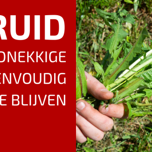 82. Onkruiden: Hoe we hardnekkige soorten aanpakken