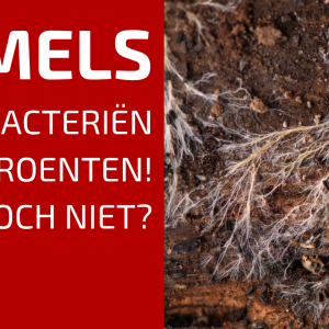 86. Waarom je de theorie over schimmels en bacteriën in de moestuin mag vergeten