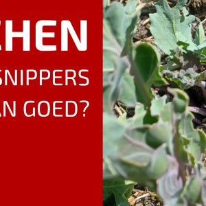 87. Mulchen met houtsnippers
