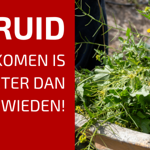 89. Onkruid voorkomen in de moestuin: Mythes, methodes en de nultolerantie